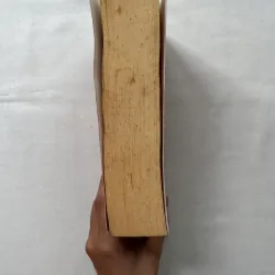 Bring Up the Bodies - Hilary Mantel 1028812