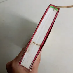 Hồi ký song đôi - Tập 2 🌻 576689