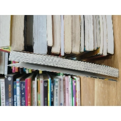 Người lạ dưới gió xuân- Kii Kanna 601739