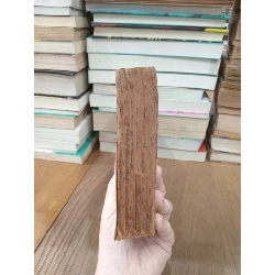 Nàng Châu Long - Như Hiên 746939