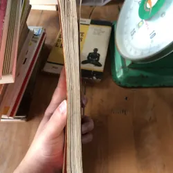 Nghệ thuật sử dụng màu sắc trong cuộc sống 973614