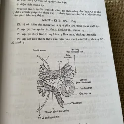 Bệnh thận - PGS.BS. Trần Văn Chất 792212