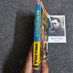 Mộng tình theo gió bay đi 990980