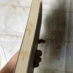 Hoa Cúc Dại - Kim Ân 974418