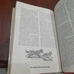 JACK LONDON - Tales of the North 643707