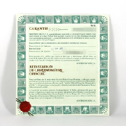 Đồng hồ Rolex Datejust 79174G SSxWG tự động P số - Hàng hiệu chính hãng 876247