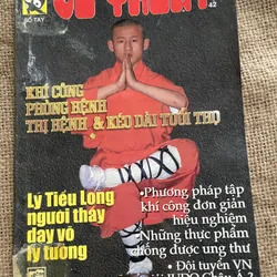 Võ thuật, khí công, Lý tiểu Long, Judo