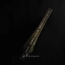 [Sách Cũ Ngoại Văn] Dark Wood Tarot - Sasha Graham 564144