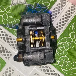 heo brem 2 pis fake 702592