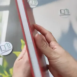 Em - Liêu Hà Trinh 990080