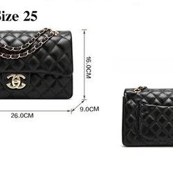 Túi logo chanel 25cm new 256397