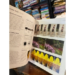 The Beginner’s Photography Guide 1017896