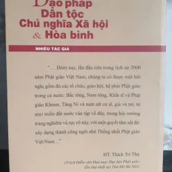 Đạo pháp Dân tộc Chủ nghĩa Xã hội & Hòa bình - Nhiều tác giả 696841
