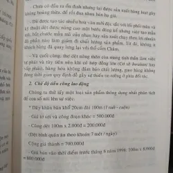 VĂN HÓA XÃ HỘI CHĂM - INRASARA 994611