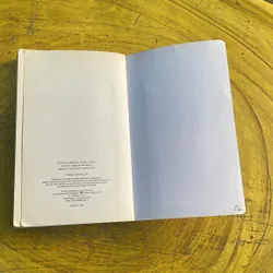 LES PETITES REINES - CLEMENTINE BEAUVAIS 736668