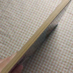 ENCANTO - THE JUNIOR NOVELIZATION - <Disney> 751830