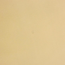 Túi Chanel - Hàng hiệu Authentic 805266