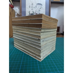 TRUYỆN TRANH RINNE CẢNH GIỚI LUÂN HỒI 386705