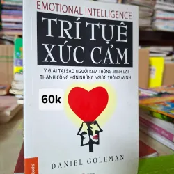 Trí Tuệ Xúc Cảm 936243