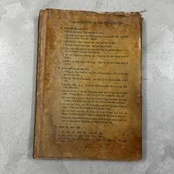 Hướng dẫn thực hành kế toán các đơn vị kinh doanh quốc tế 1011323