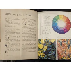 How to grow and use Annuals 708890