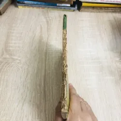 CUỘC PHỤC HƯNG TẠI TRUNG HOA  928931