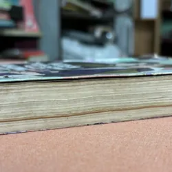 Viên tiên sinh luôn không vui 2 🌊 680149