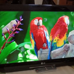 [Tivi LG 32" Full HD - Treo Tường - Bền & Sắc Nét]Thanh lý 69747