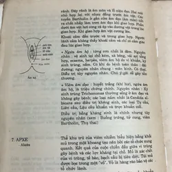 Từ điển Y học, D' ANDRE DURANTEAU 1066657