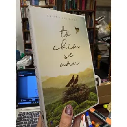 Tổ chim sẻ nâu - Nguyễn Bảo Trung