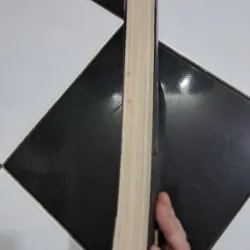 Trịnh Công Sơn- thư tình gửi một người 995255