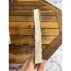 Người con gái Nam Bộ – Nguyễn Trung Nguyệt, Vân Trang 594122