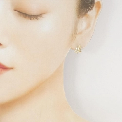 Bông tai lá ô liu Tiffany - Hàng hiệu Authentic 844943