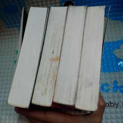 TRỌN BỘ SÁCH NGÔN TÌNH HEO YÊU DIÊM VƯƠNG + CỬA TIỆM CỔ QUÁI ( MINH NGUYỆT THÍNH PHONG ) 222601