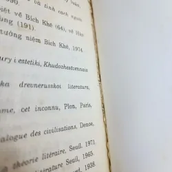 Con mắt thơ (Đỗ Lai Thúy) 1023961