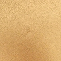 Túi xách chéo Chanel 1112 611074