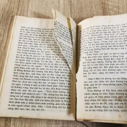 CHIẾN SĨ MẬU THÂN 929167