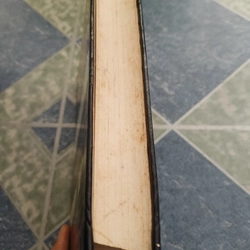 Bông hồng vàng và bình minh mưa - K. G. Paustovsky 510022