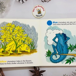Set boardbook tiếng Anh cho bé từ 0T 500070