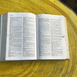 TỪ ĐIỂN VIỆT - PHÁP - LÊ KHẢ KẾ- NGUYỄN LÂN DICTIONNAIRE VIETNAMIEN - FRANCAIS 735018