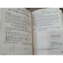 Chăm sóc sức khỏe - David Werner 126979
