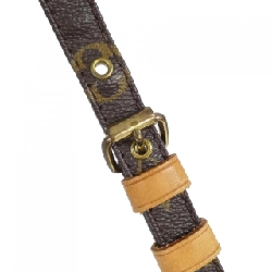 Túi xách vai Louis Vuitton Monogram Amazon M45236 610794