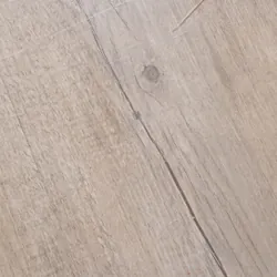 Sáu lần gặp người đứng đầu nước Nga V. putin 697956