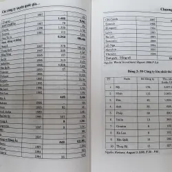 CÁC CÔNG TY XUYÊN QUỐC GIA  1007058