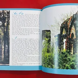 Tây Bắc Việt Nam 591003