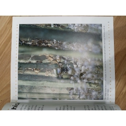 What are Camouflage and Mimicry? - Bobbie Kalman 547747