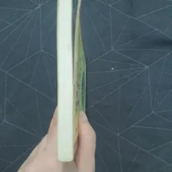 "Giọt lệ tương tư" - Quỳnh Dao 577847