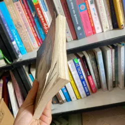 Mãi mãi tuổi hai kuoi 796500