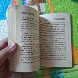 Đảo Giấu Vàng ( khổ nhỏ ) 1001139