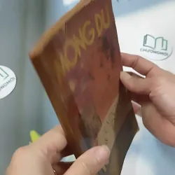 [XƯA] Mộng Du - Huyền Thoại & Hiện Thực (1988) - Phạm Hổ 776011